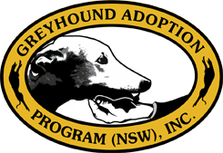 Greyhound Adoption Program NSW Inc